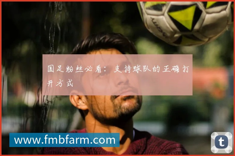国足粉丝必看：支持球队的正确打开方式
